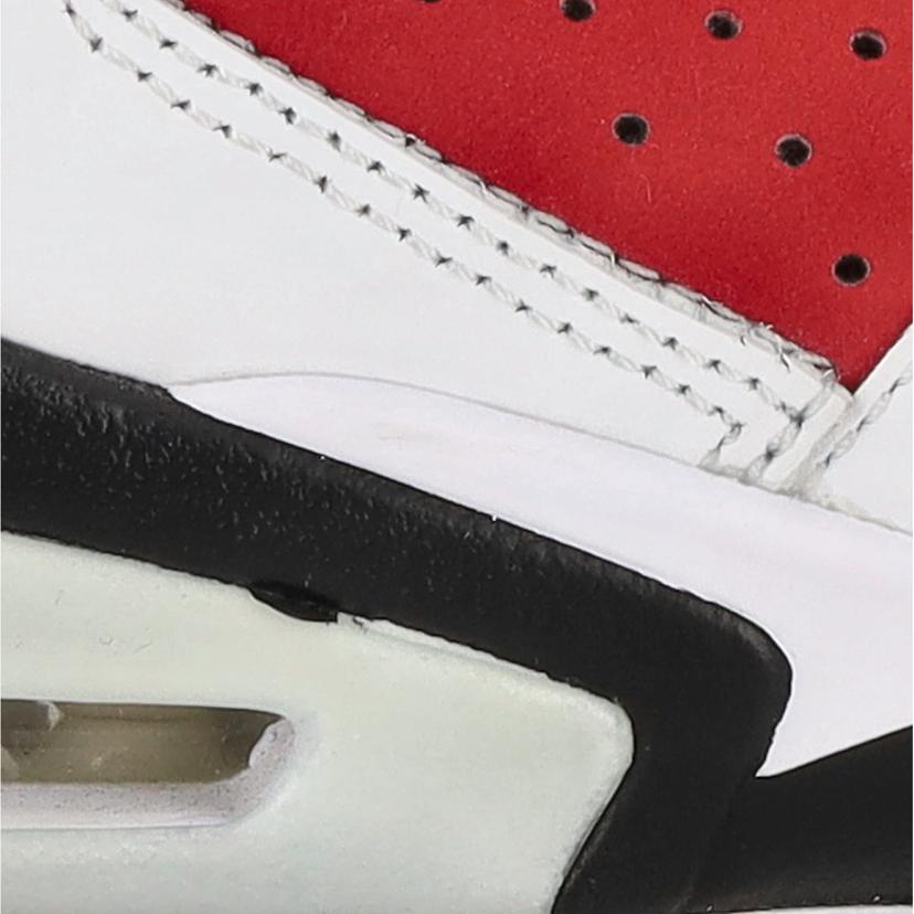 NIKE ナイキ/AIR JORDAN 6RETRO Carmine/CT8529-106//Bランク/05