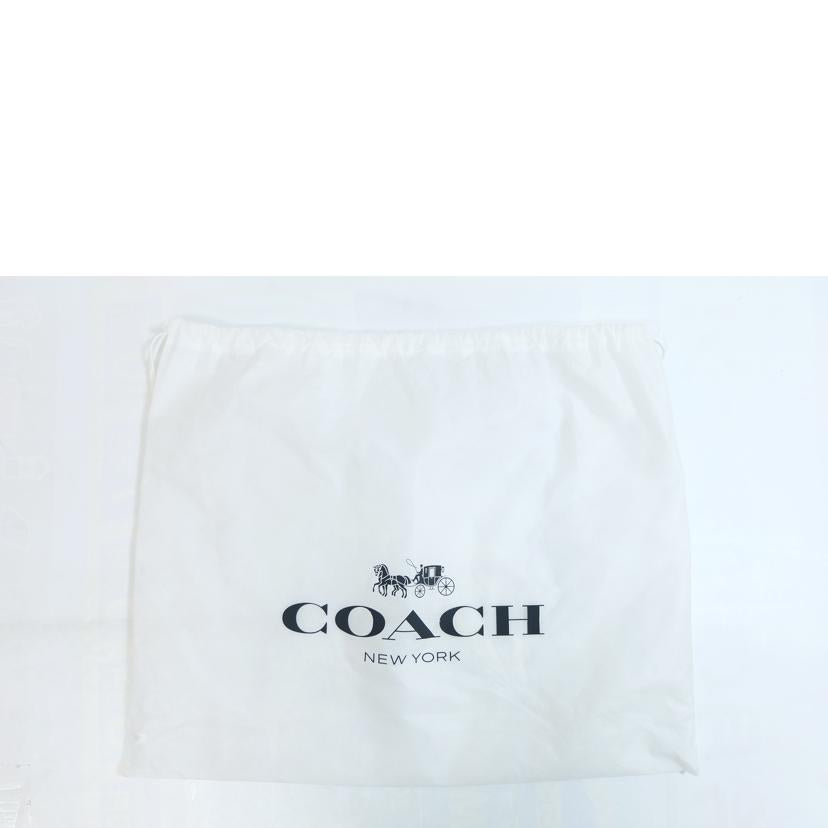 COACH コーチ/ラグジュアリーペプルドレザートートバック/1671//G2040/Aランク/71