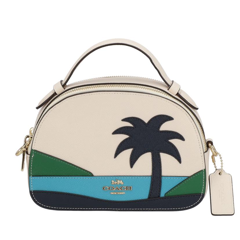 COACH コーチ パームツリーショルダーバッグ レディース/パームツリーショルダーバッグ/1586//C20**/Aランク/37