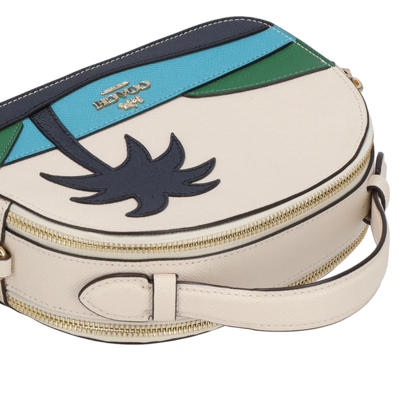COACH コーチ パームツリーショルダーバッグ レディース/パームツリーショルダーバッグ/1586//C20**/Aランク/37