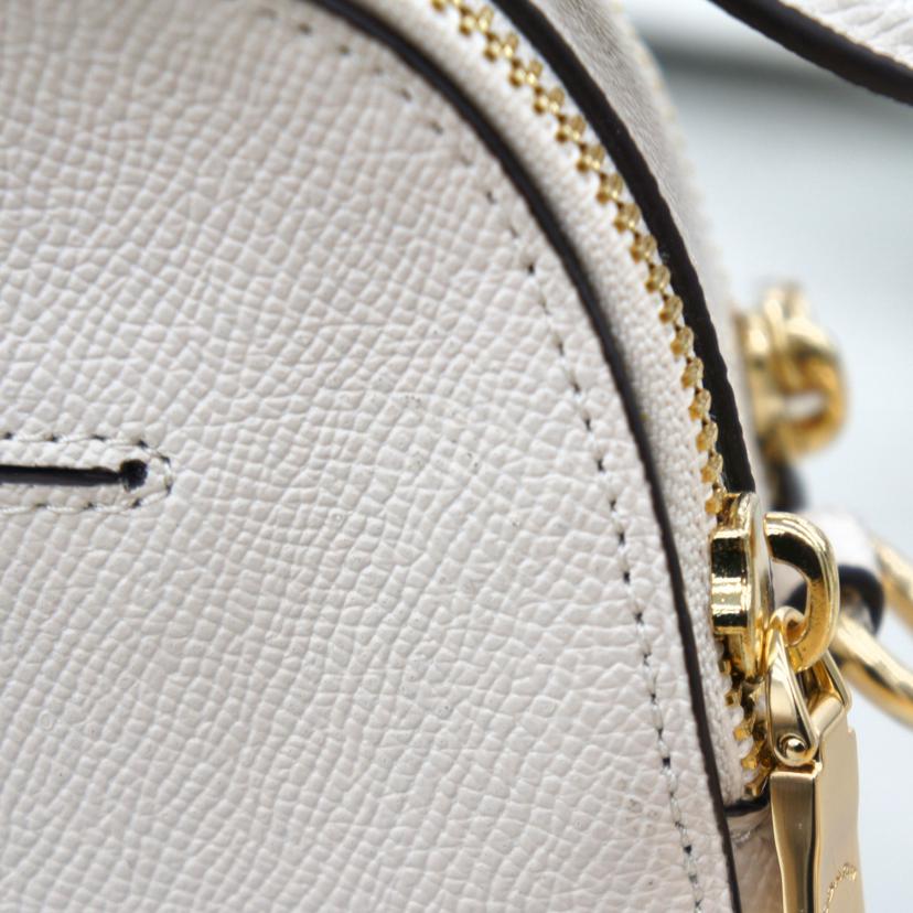 COACH コーチ パームツリーショルダーバッグ レディース/パームツリーショルダーバッグ/1586//C20**/Aランク/37