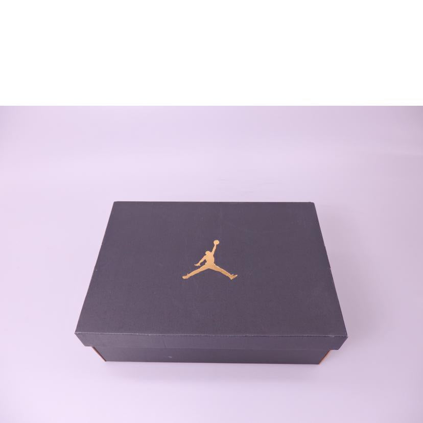 NIKE ナイキ/Air Jordan 1 Mid/DQ8426-401//SAランク/76