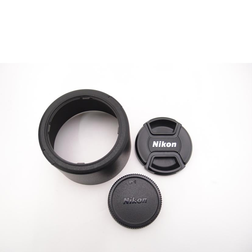 Nikon ニコン/デジタル対応レンズ/DX AF-S NIKKOR 55-300mm 4.5-5.6G ED//2824234/Aランク/69