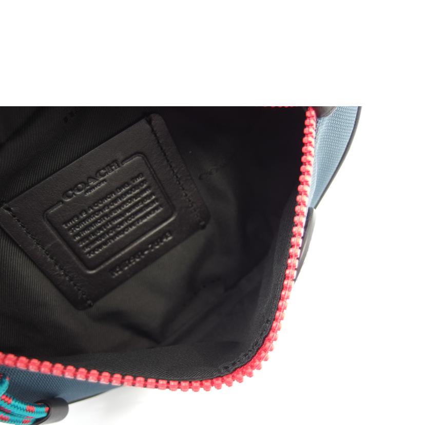 COACH コーチ/リビングトンベルトバック7カラーブロックウィズコーチパッチ/76143//E1961/Aランク/83