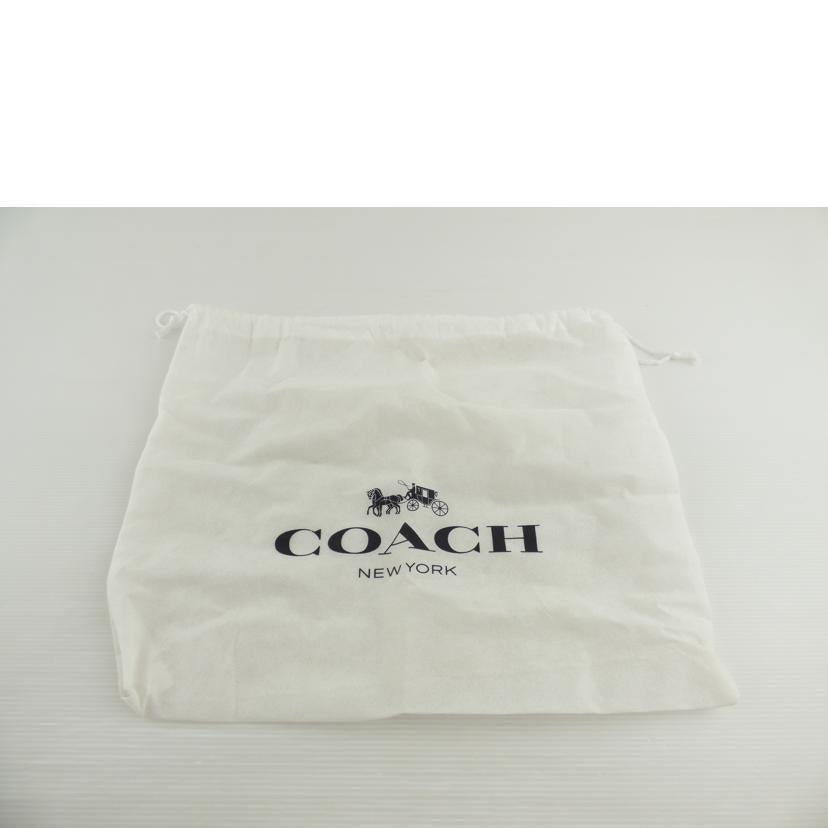 COACH コーチ/シグネチャー ミニ サリー キャリーオール ハンドショルダー/F67027//M1822/Aランク/64