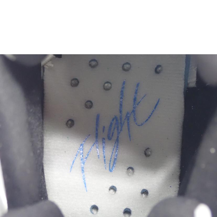 NIKE NIKE/JUMPMAN TWO TREY/D01925-104//27.5cm/Sランク/62