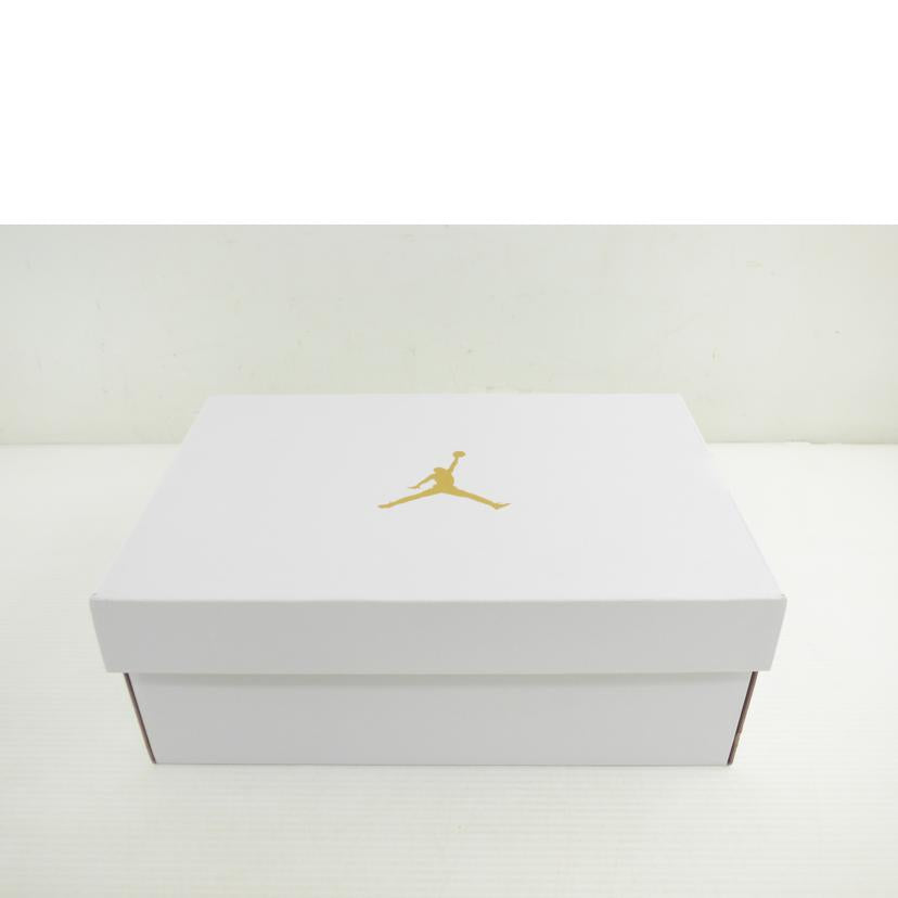 NIKE ナイキ/AIRJORDAN4レトロSEセイル/CW7183-100//SAランク/64