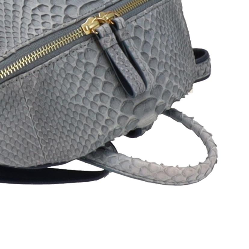 /パイソン リュック//Aランク/75