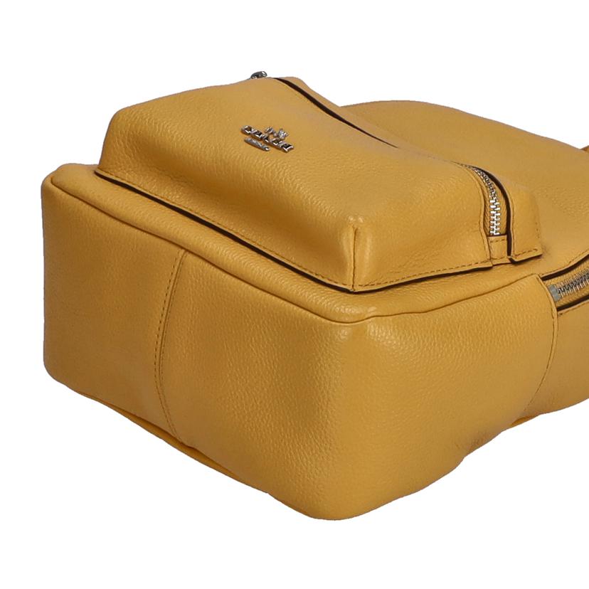 COACH/ミニチャーリーバックパック/F38263//J17**/ABランク/85