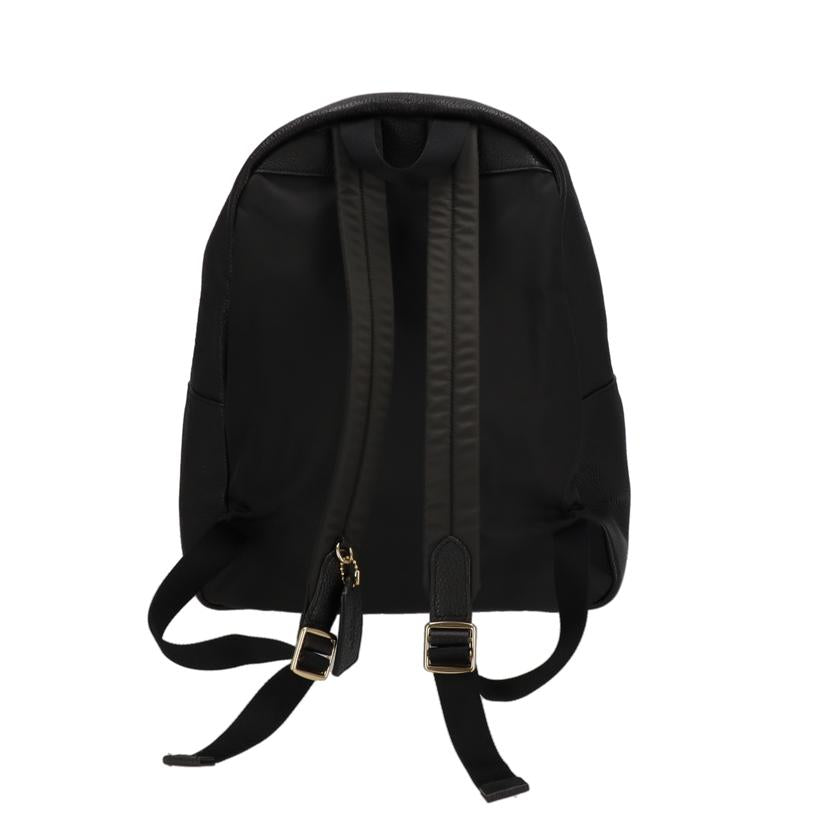 COACH コーチ COACH チャーリぺプルド レザーバックパック レディース/チャーリペプルドレザー バックパック/F29004//L19**/Aランク/37