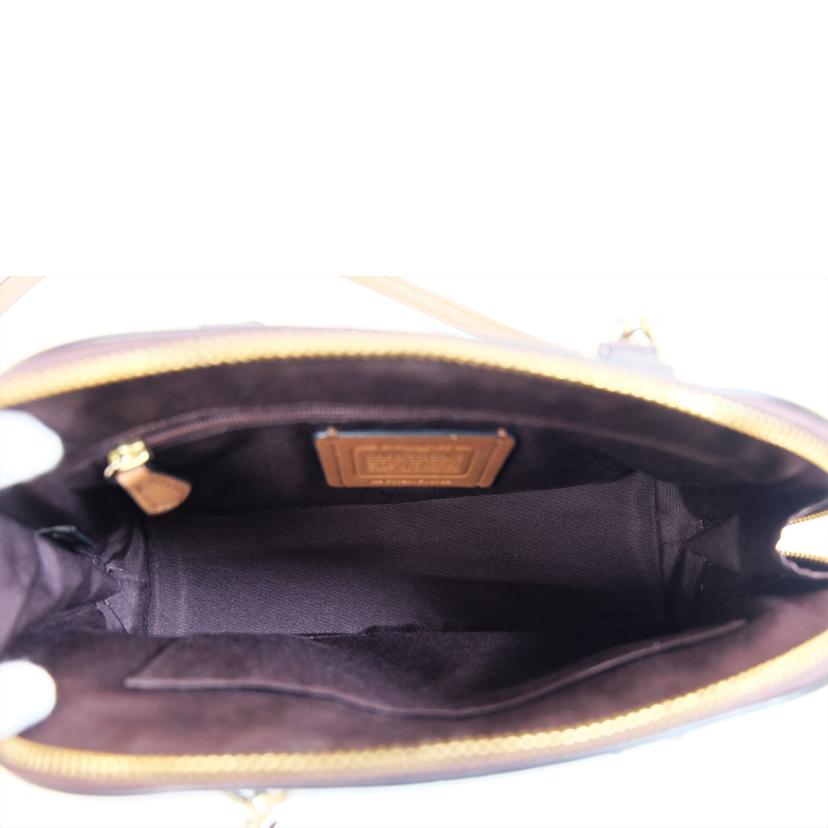 COACH コーチ/ワイルドフラワー2Wayミニシエラサッチェル/F13752//F1781/ABランク/71