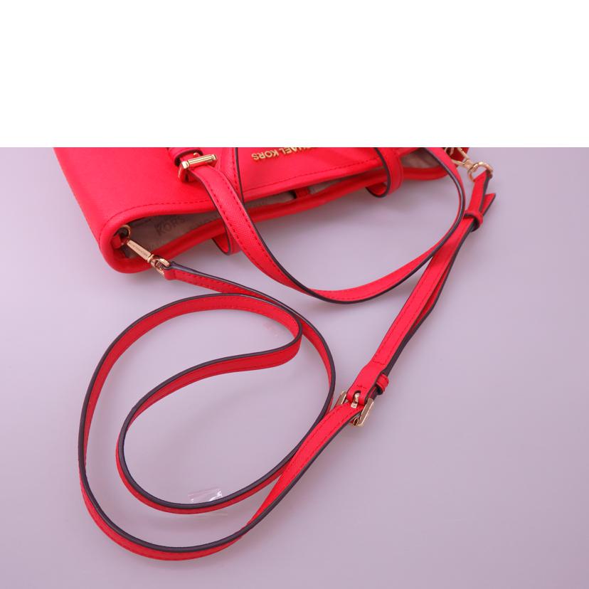 MICHAEL KORS マイケルコース/キャリオールミニ2WAYショルダーバッグ/35T8GGTVT0L//Bランク/76