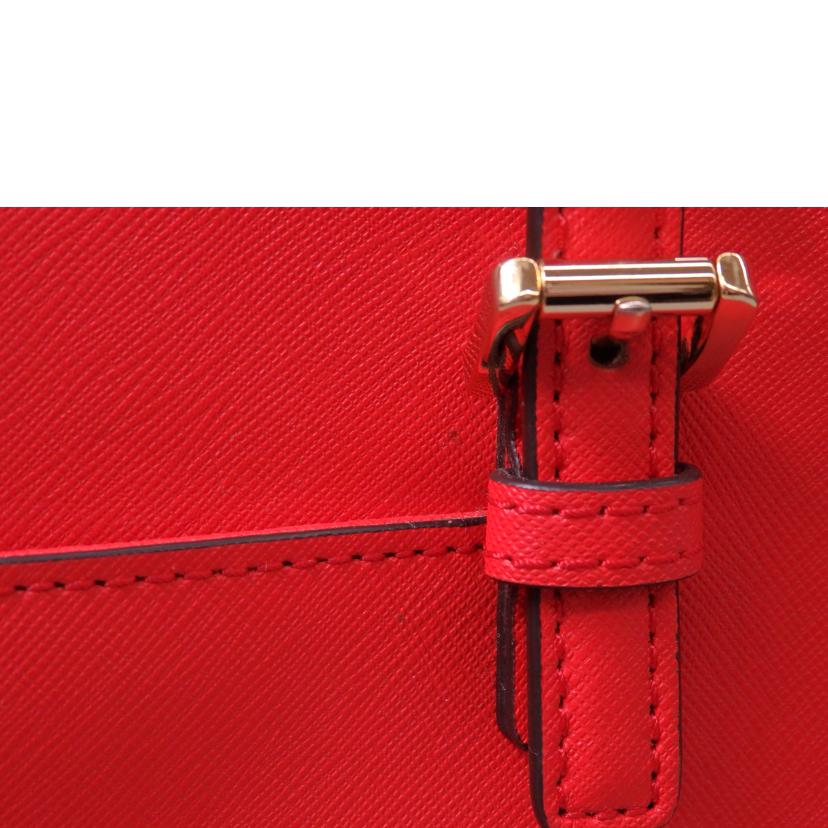 MICHAEL KORS マイケルコース/キャリオールミニ2WAYショルダーバッグ/35T8GGTVT0L//Bランク/76