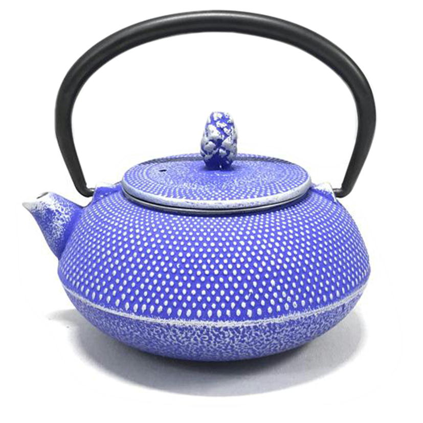 Roji ロジアソシエイツ/南部鉄器 急須 あられ//Aランク/51