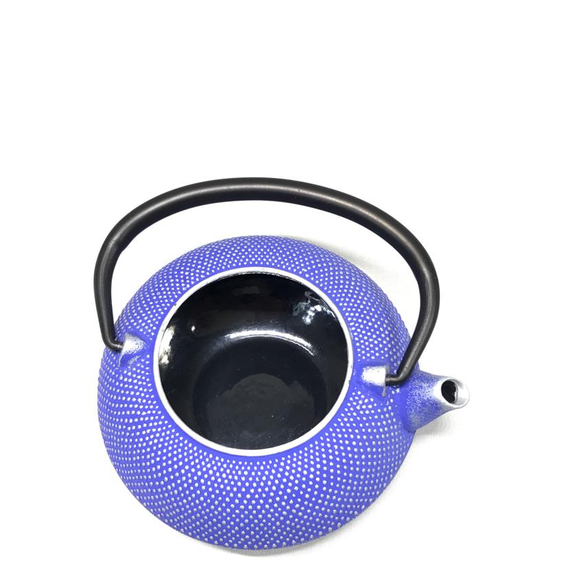 Roji ロジアソシエイツ/南部鉄器 急須 あられ//Aランク/51