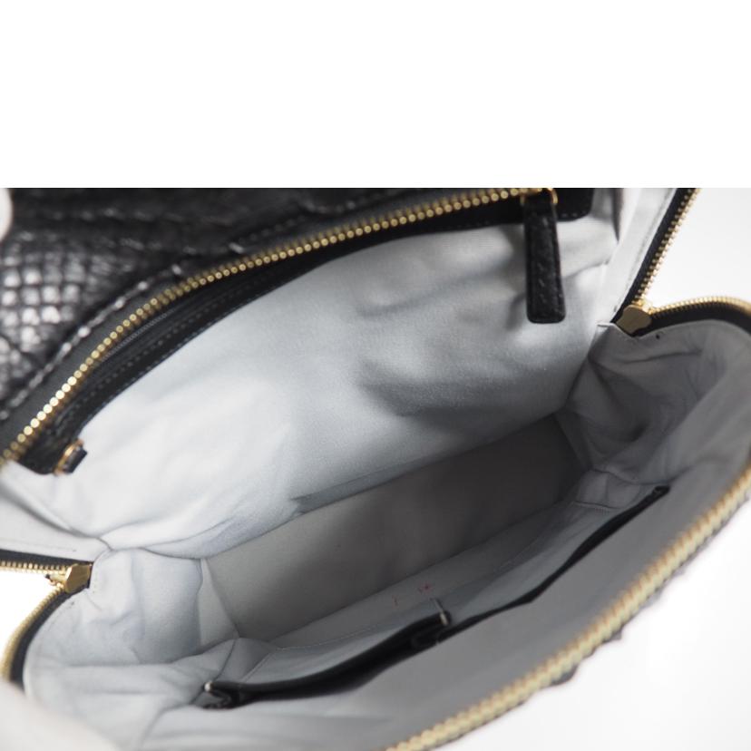 /パイソンリュック//ABランク/79