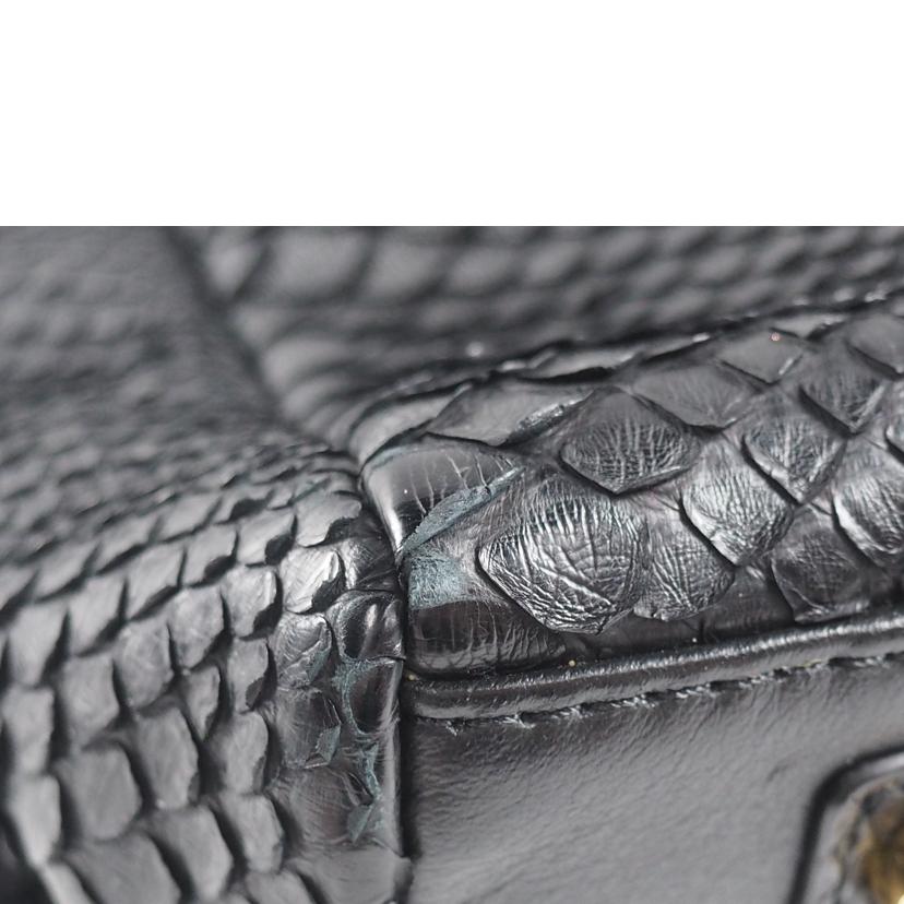 /パイソンリュック//ABランク/79