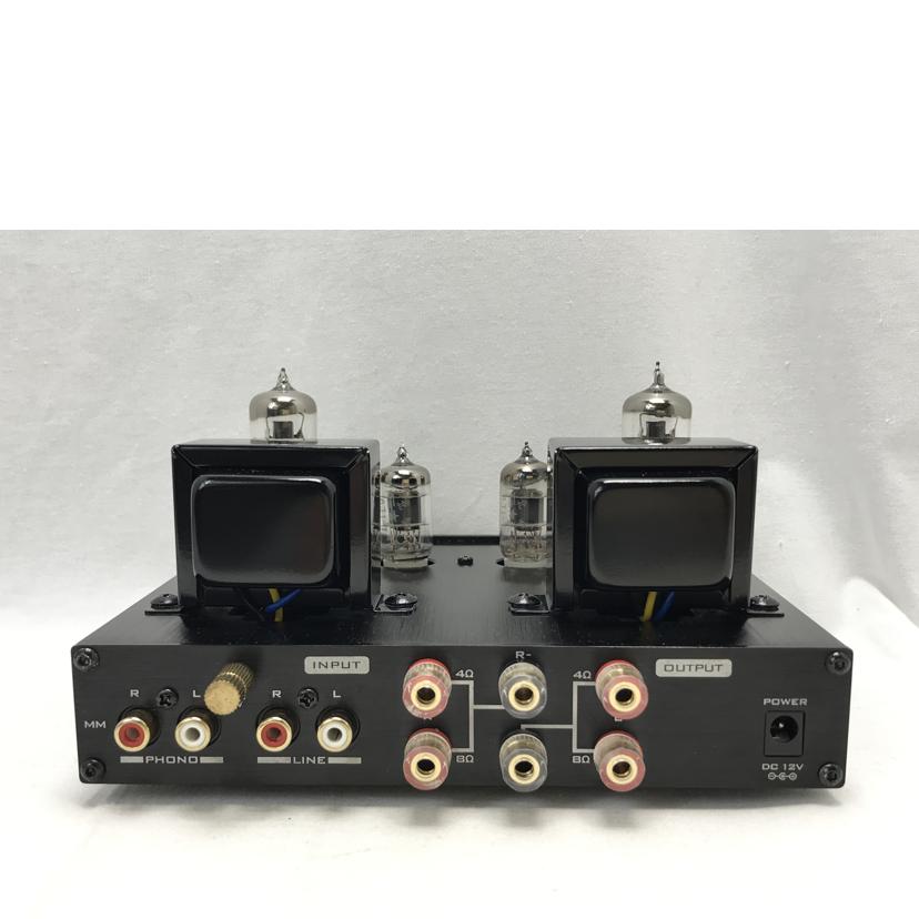 FX-AUDIO エフエックスオーディオ/真空管プリメインアンプ/TUBE-P01J//NFJORGB0030/Aランク/51