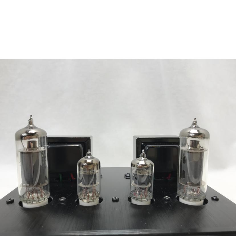 FX-AUDIO エフエックスオーディオ/真空管プリメインアンプ/TUBE-P01J//NFJORGB0030/Aランク/51