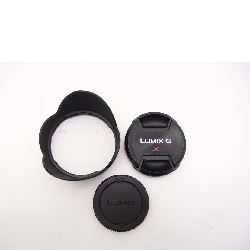 Panasonic パナソニック/ミラーレス用交換レンズ/LUMIX G X VARIO 12-35mm/F2.8 ASPH./POWER O.I.S.//XT6DV001612/ABランク/69