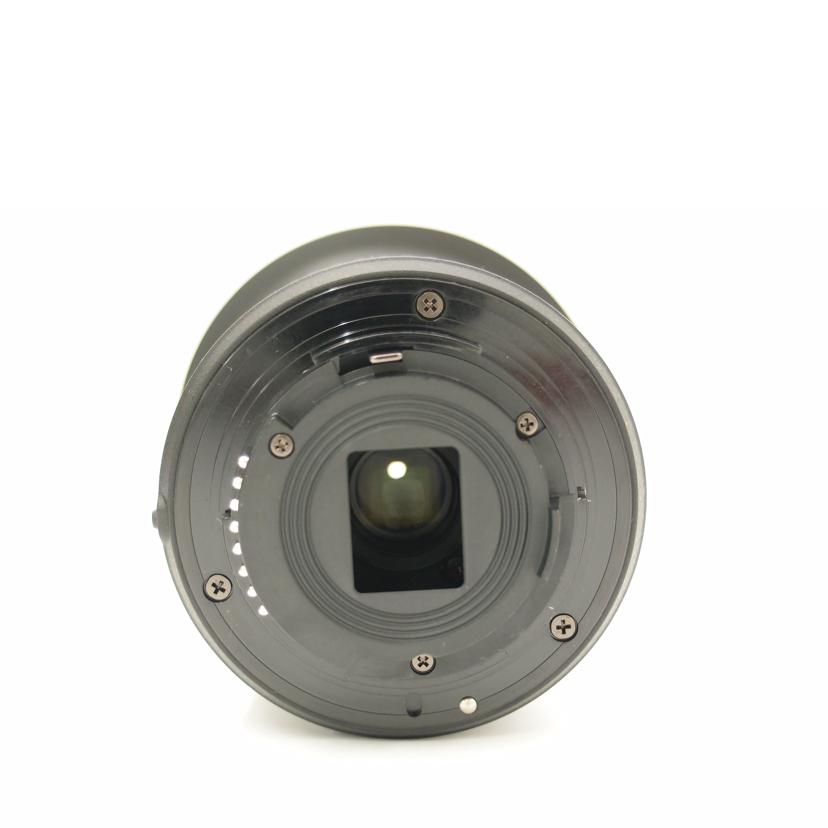 Nikon ニコン/超広角ズームレンズ/AF-P DX NIKKOR 10-20mm f/4.5-5.6G VR//231843/Aランク/69