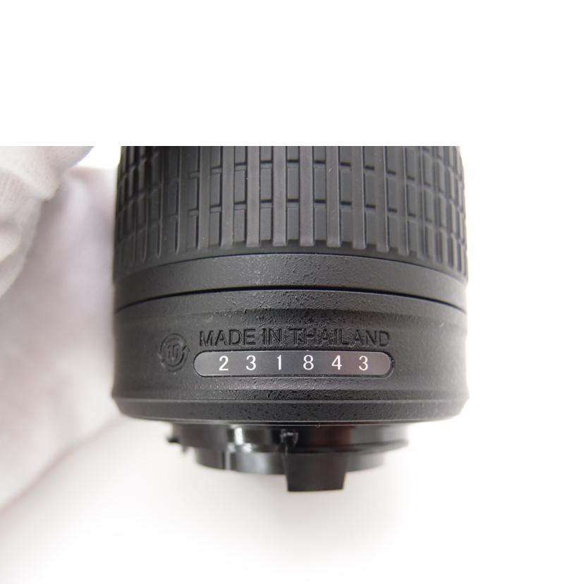 Nikon ニコン/超広角ズームレンズ/AF-P DX NIKKOR 10-20mm f/4.5-5.6G VR//231843/Aランク/69