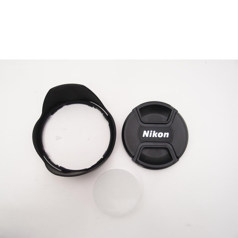 Nikon ニコン/超広角ズームレンズ/AF-P DX NIKKOR 10-20mm f/4.5-5.6G VR//231843/Aランク/69