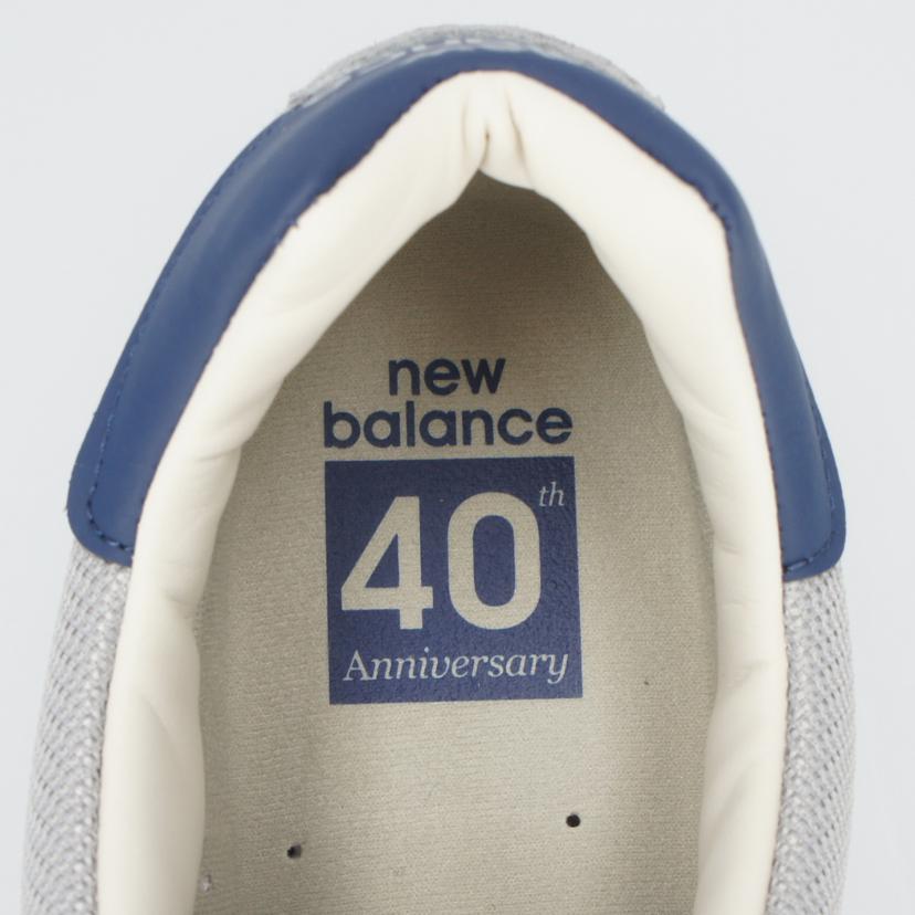 NB ニューバランス/ビッグスキンスエード/40周年記念モデル/M670UKF//Aランク/75