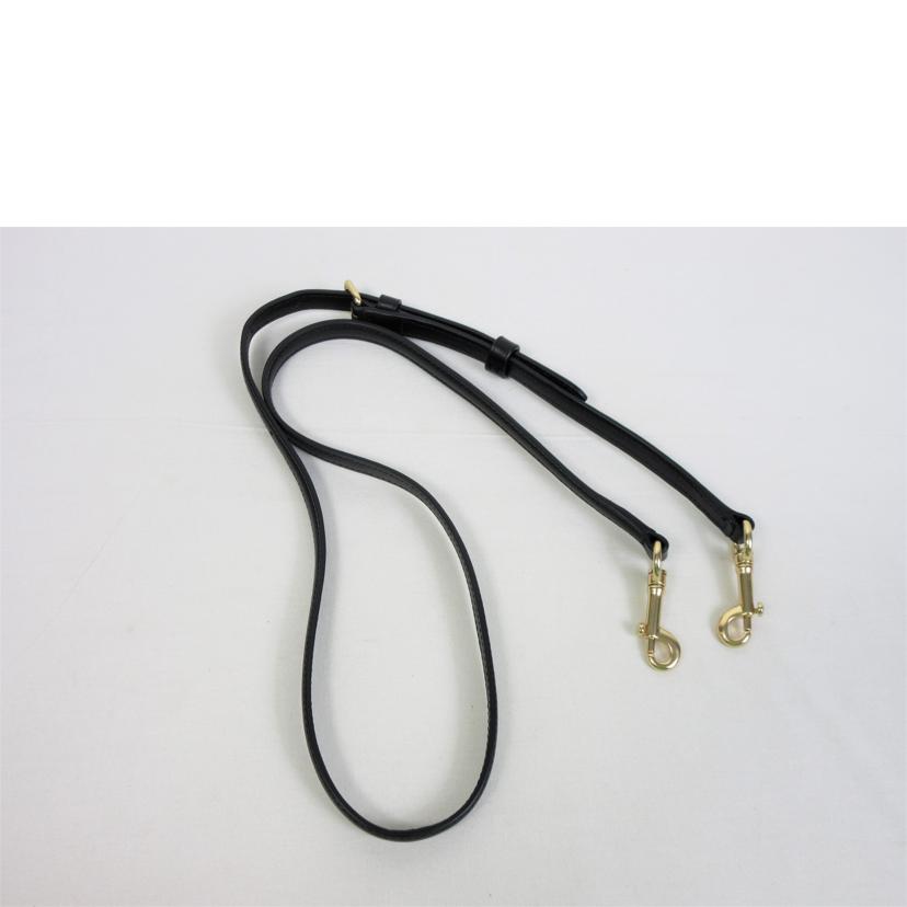 COACH コーチ/ラグジュアリーソグネチャー ミニシエラサッチェル/F27583//M2223/ABランク/70