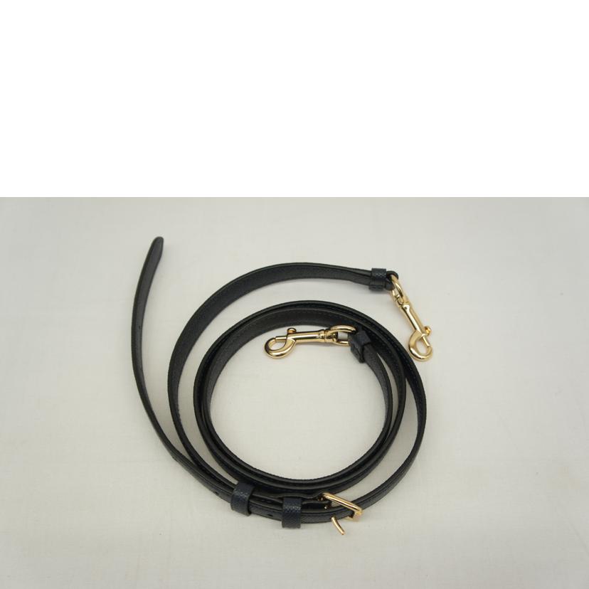 COACH コーチ/ローワンサッチェル2WAYショルダー/79946//H2022/Aランク/05