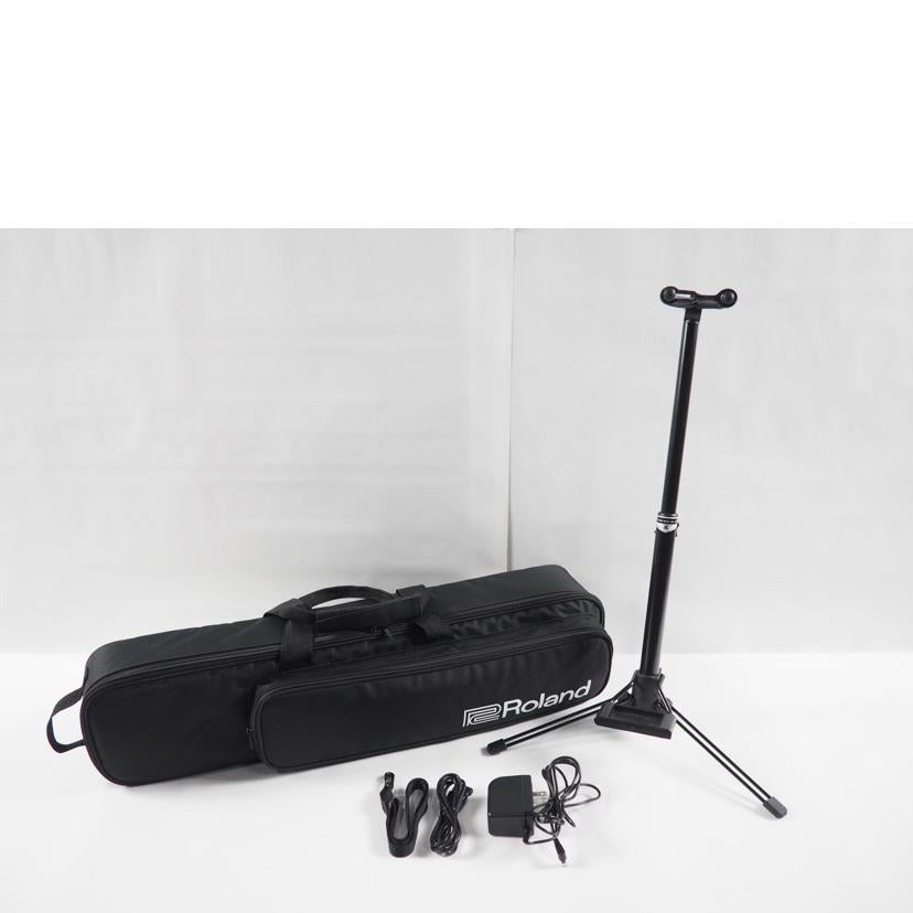 ROLAND ローランド/管楽器 エアロフォン/AE-20//Aランク/79