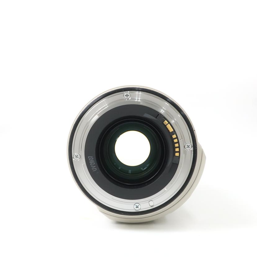 Canon キャノン/デジタル対応レンズ/EF28-300mmF3.5-5.6L IS USM//51146/ABランク/65