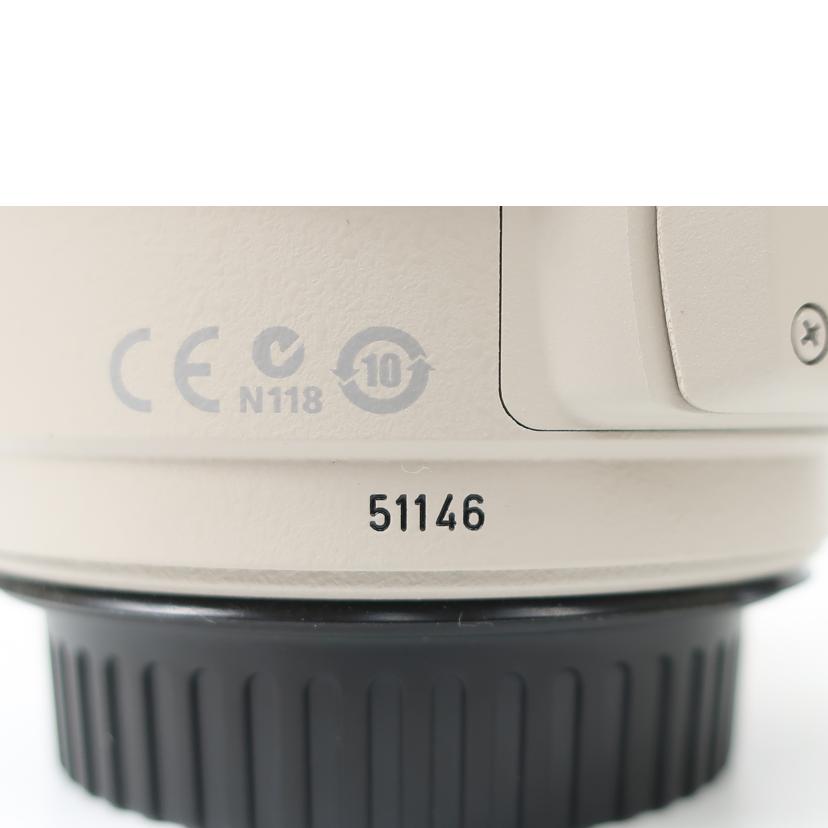 Canon キャノン/デジタル対応レンズ/EF28-300mmF3.5-5.6L IS USM//51146/ABランク/65