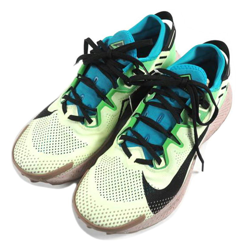 NIKE ナイキ/PEGASUS TRAIL 2//CK4305-700/Sランク/79