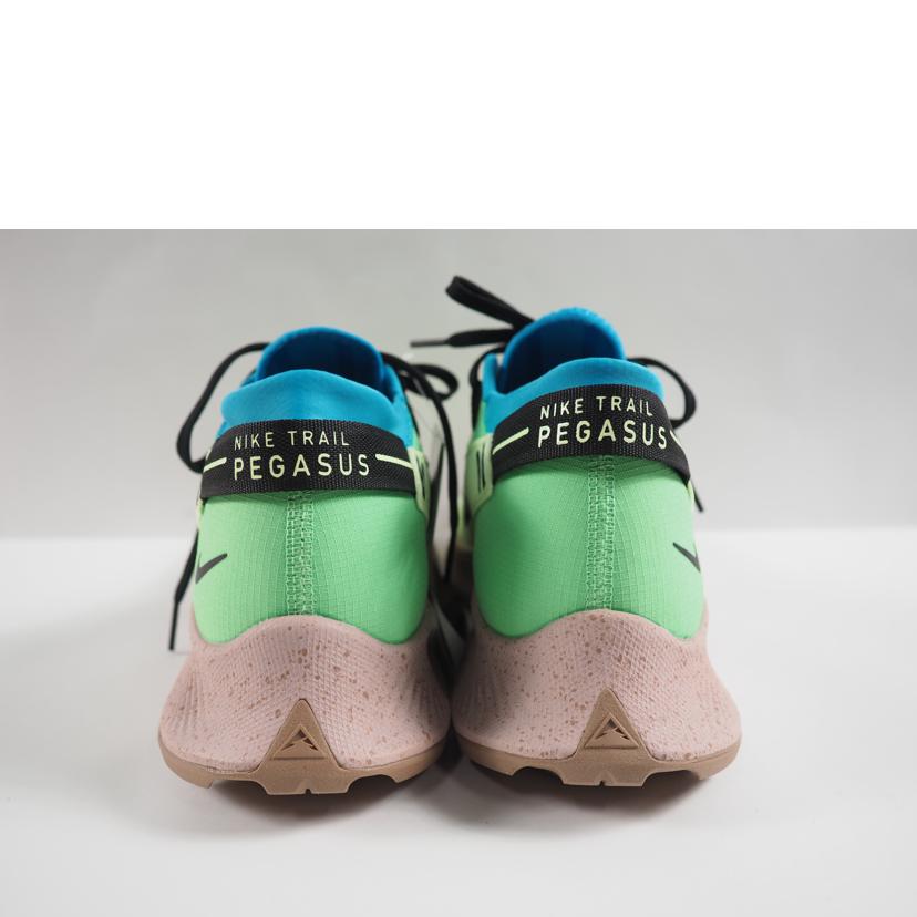 NIKE ナイキ/PEGASUS TRAIL 2//CK4305-700/Sランク/79