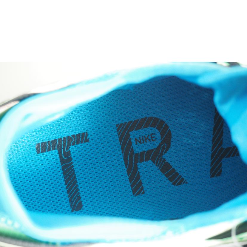 NIKE ナイキ/PEGASUS TRAIL 2//CK4305-700/Sランク/79