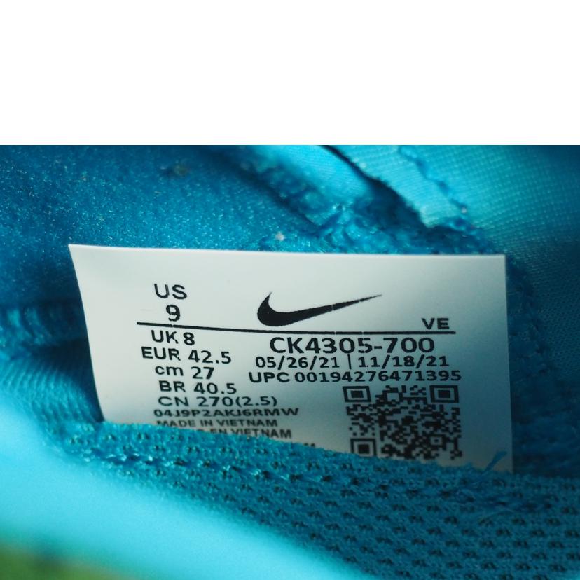 NIKE ナイキ/PEGASUS TRAIL 2//CK4305-700/Sランク/79