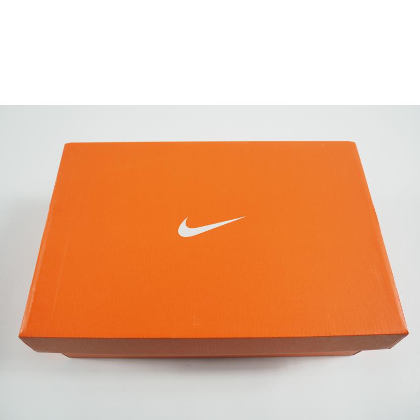 NIKE ナイキ/PEGASUS TRAIL 2//CK4305-700/Sランク/79