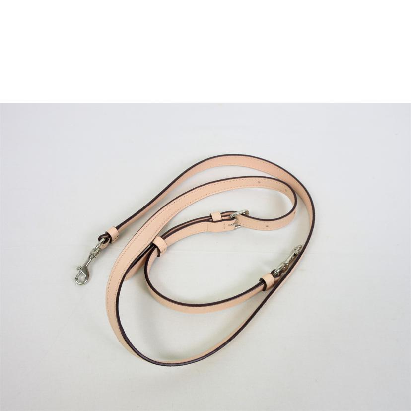 COACH コーチ/ラグジュアリーレザー 2Wayバッグ/F25397//A1377/Aランク/70