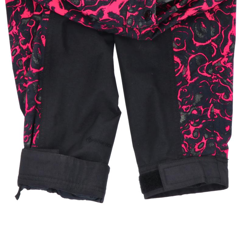 THE NORTH FACE ノースフェイス/94 REGE GTX マウンテンライトJK /NP61960//ABランク/75