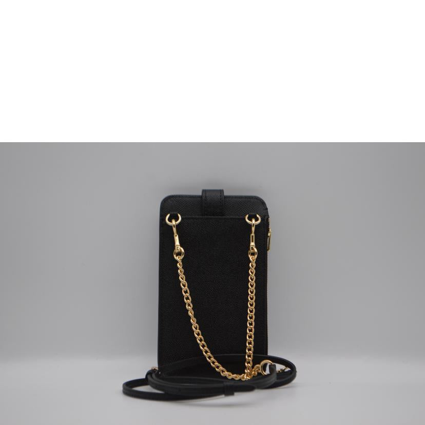 COACH コーチ/ノース/サウスフォーンクロスチェーンレザーショルダー/C6884//C79**/SAランク/89