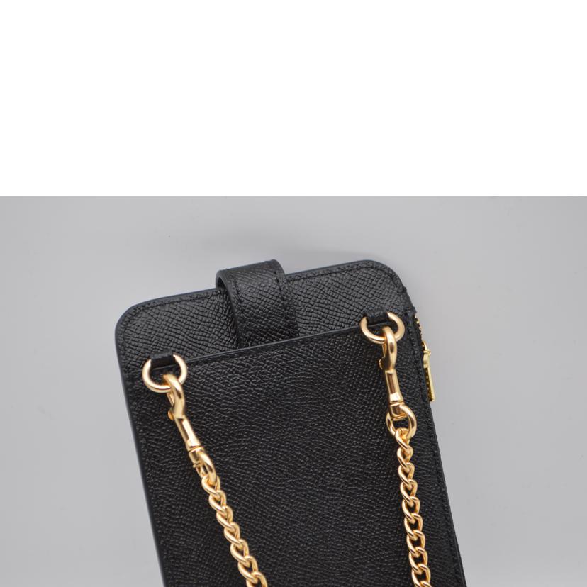 COACH コーチ/ノース/サウスフォーンクロスチェーンレザーショルダー/C6884//C79**/SAランク/89