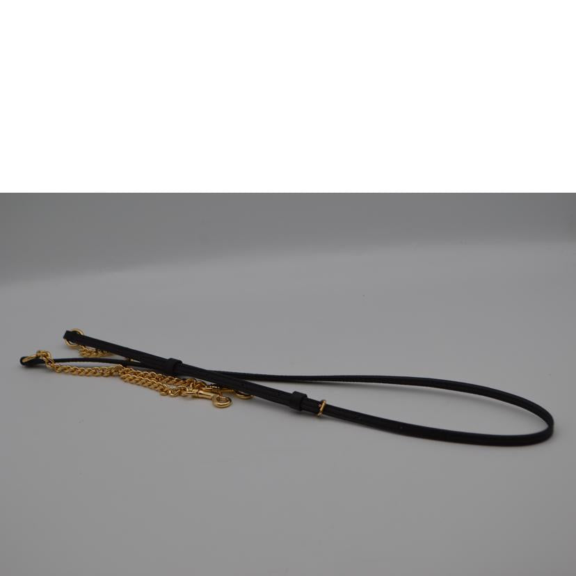 COACH コーチ/ノース/サウスフォーンクロスチェーンレザーショルダー/C6884//C79**/SAランク/89