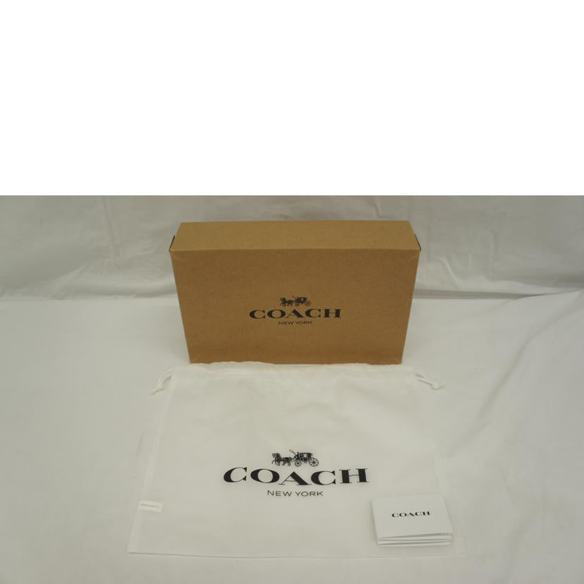 COACH コーチ/ミニカメラバッグ/ディズニーコラボ/C3404//A2181/Aランク/05