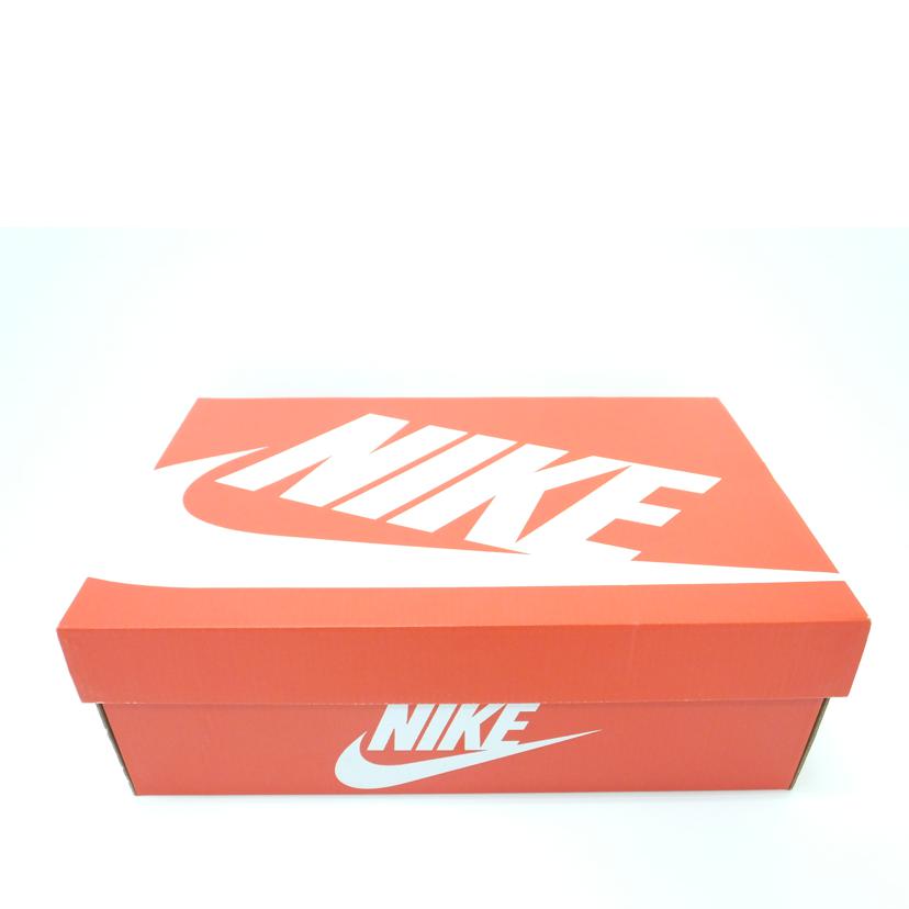 NIKE ナイキ/AIR MAX1PRM/28.0cm/CJ0609-700//ABランク/88