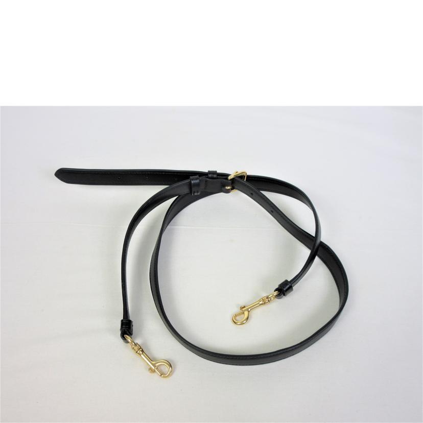 COACH コーチ/シグネチャー リリーキャリーオール/91495//2077/Aランク/70