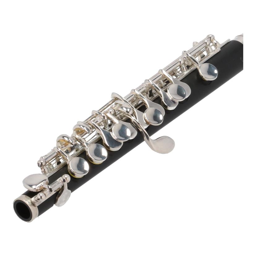 Kaerntner ケルントナー/ピッコロ/KPC-320//00802892/Cランク/64