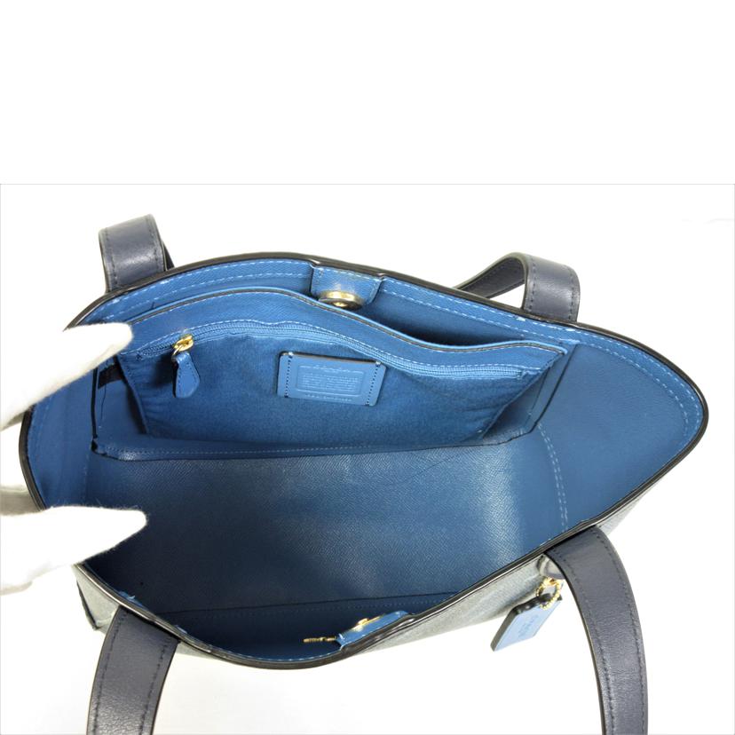 COACH コーチ/ダイアゴナルプリント ホーストート/C4060//B2154/Aランク/70