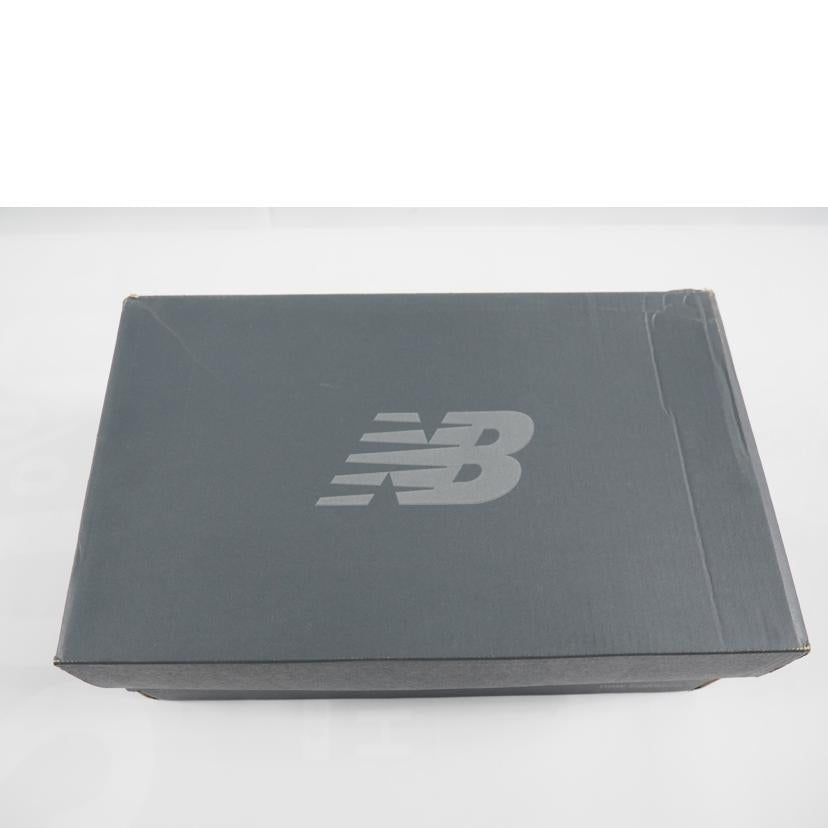 NewBalance ニューバランス/M2002RLD/M2002RLD//SAランク/79