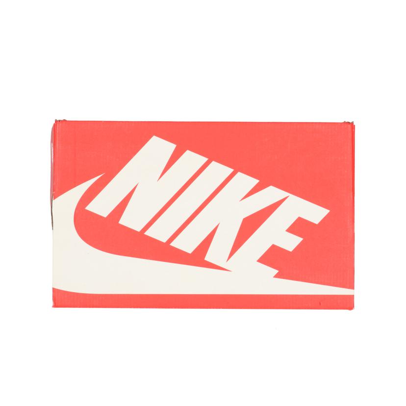 NIKE ナイキ/NIKE AIR MAX95 26cm/M749766//Aランク/75